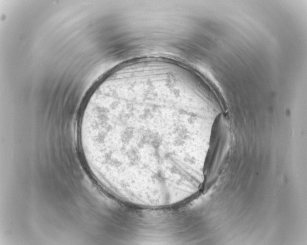 X0000088651032200706221605