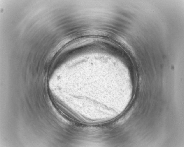 X0000088651033200706221605