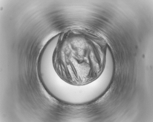 X0000088651034200706221605