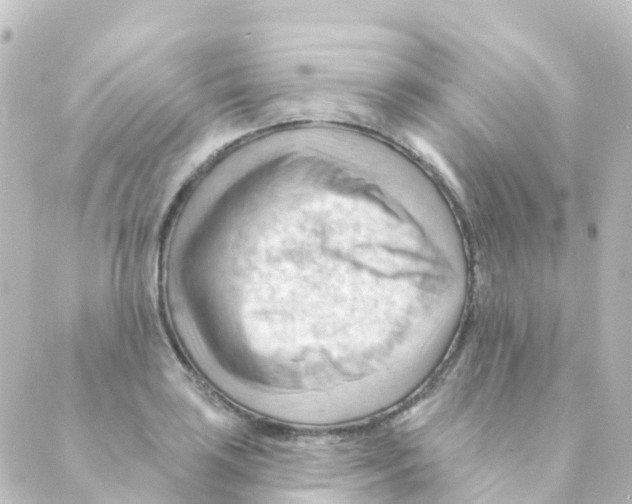 X0000088651035200706221605