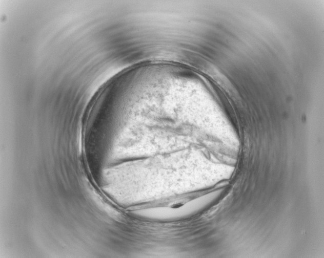 X0000088651036200706221605