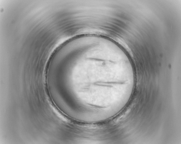 X0000088651037200706221605