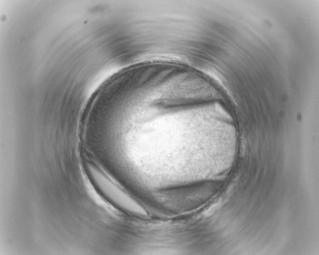 X0000088651038200706221605