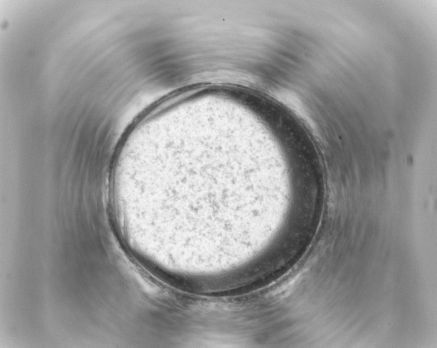 X0000088651040200706221605