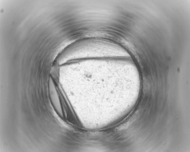 X0000088651041200706221605