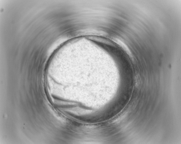 X0000088651043200706221605