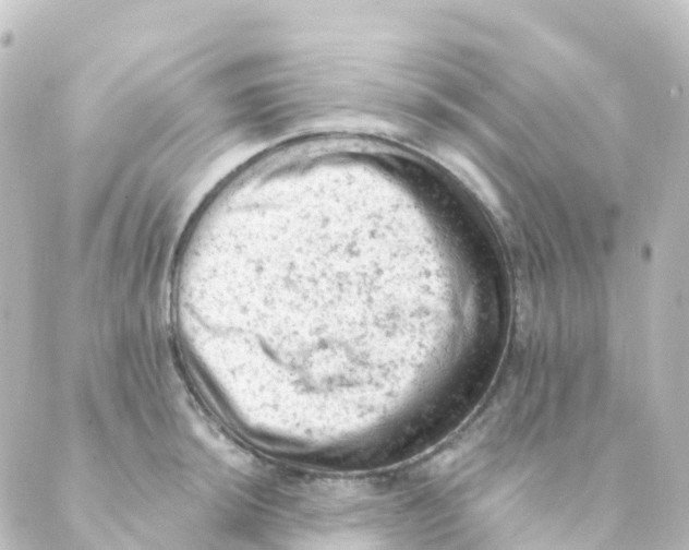 X0000088651044200706221605