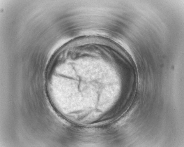 X0000088651045200706221605