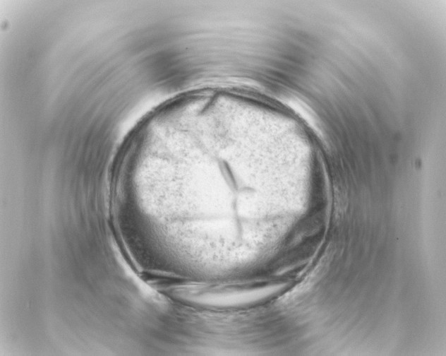 X0000088651046200706221605