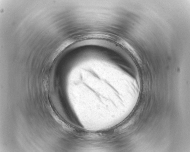 X0000088651049200706221605