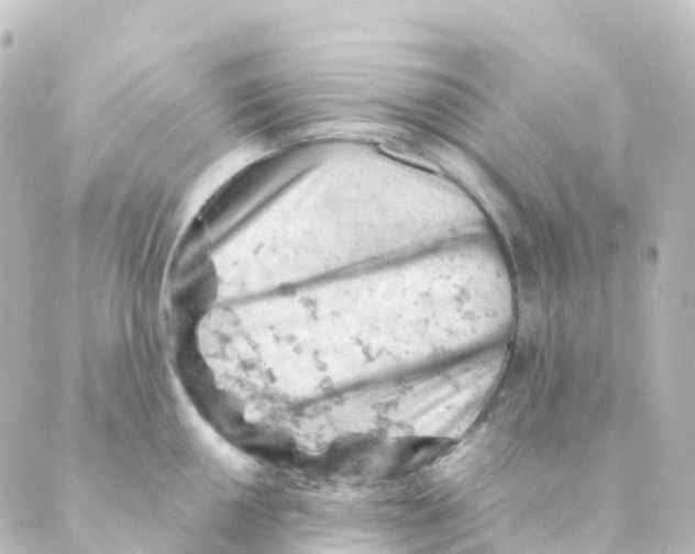 X0000088651050200706221606