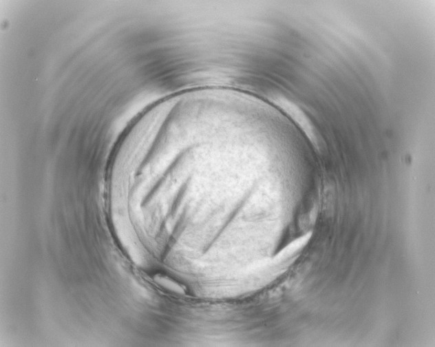 X0000088651051200706221606