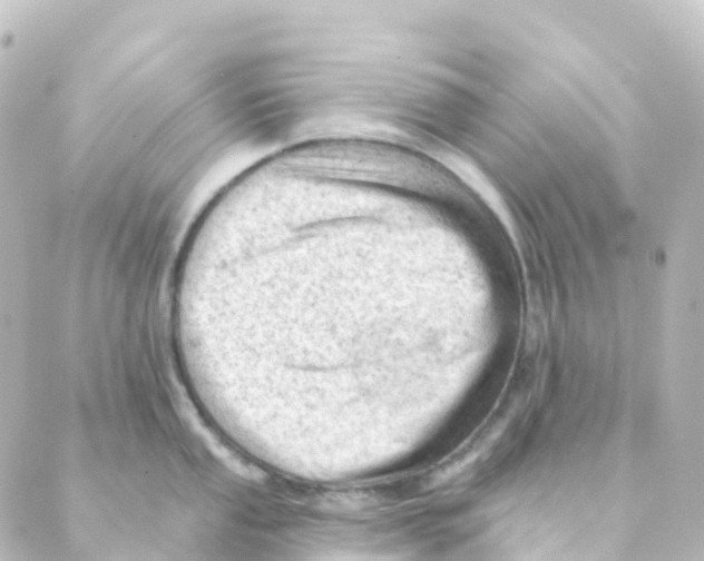 X0000088651053200706221606