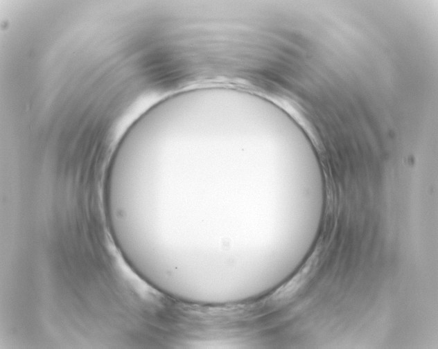 X0000088651054200706221606