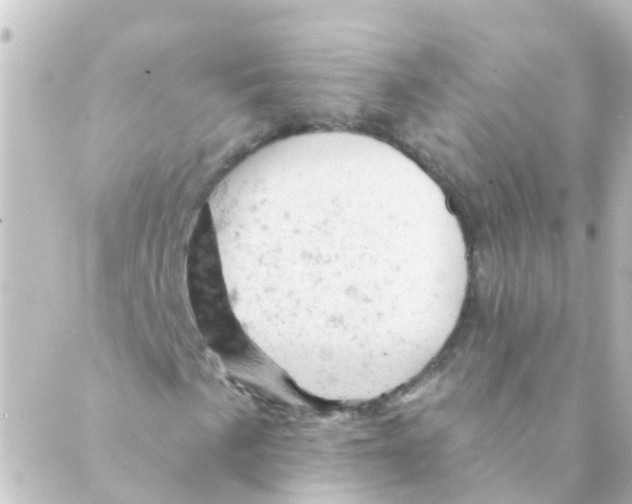 X0000088651057200706221605