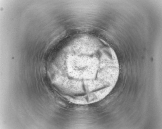 X0000088651058200706221605