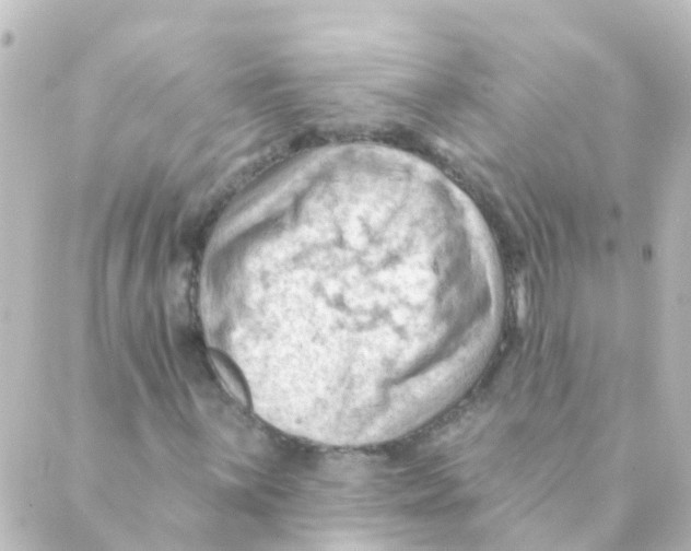 X0000088651059200706221605