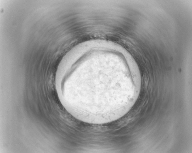 X0000088651060200706221605