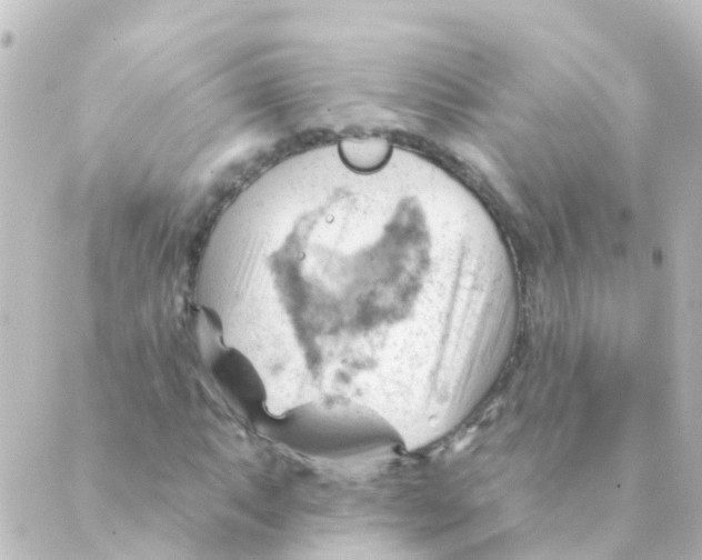 X0000088651063200706221605