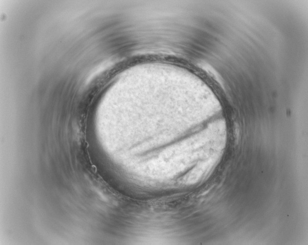 X0000088651064200706221605