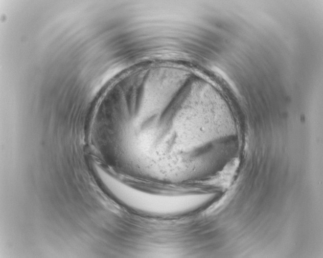 X0000088651065200706221605