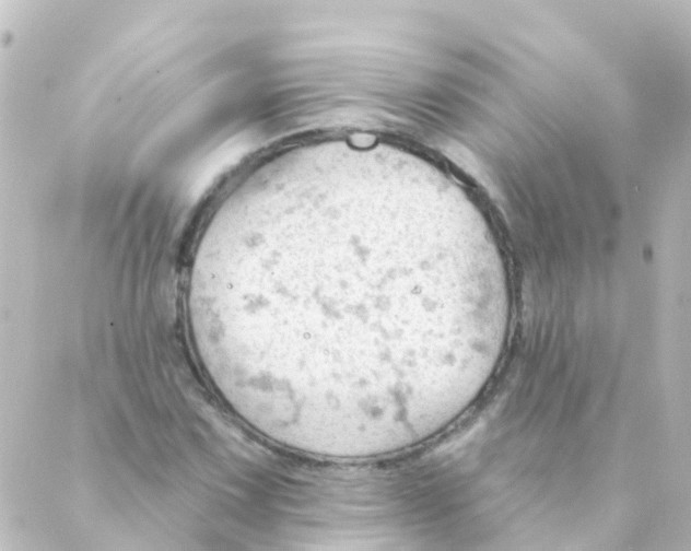 X0000088651067200706221605