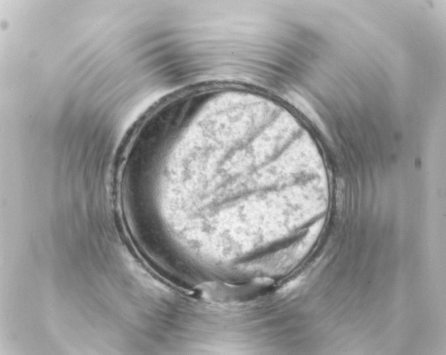 X0000088651068200706221605