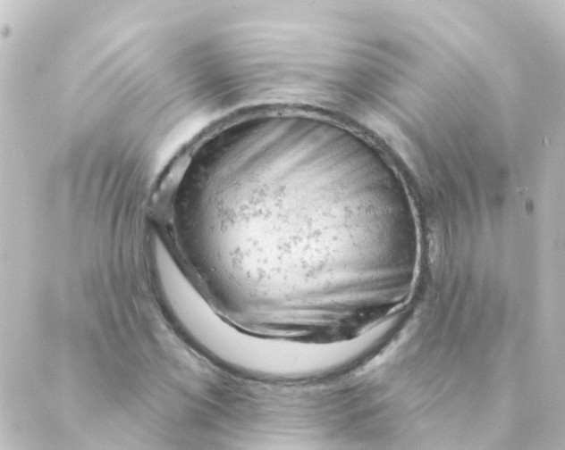 X0000088651069200706221605