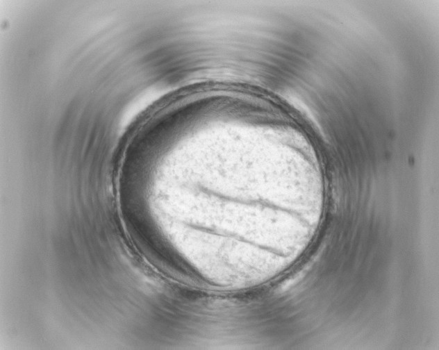 X0000088651070200706221605