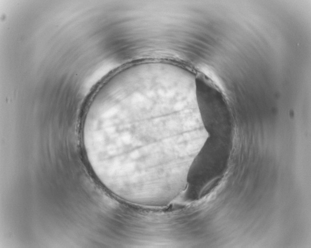 X0000088651071200706221605