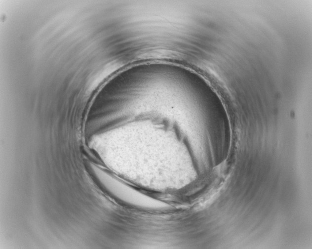 X0000088651073200706221605