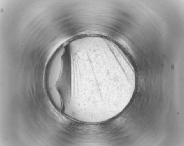 X0000088651076200706221605