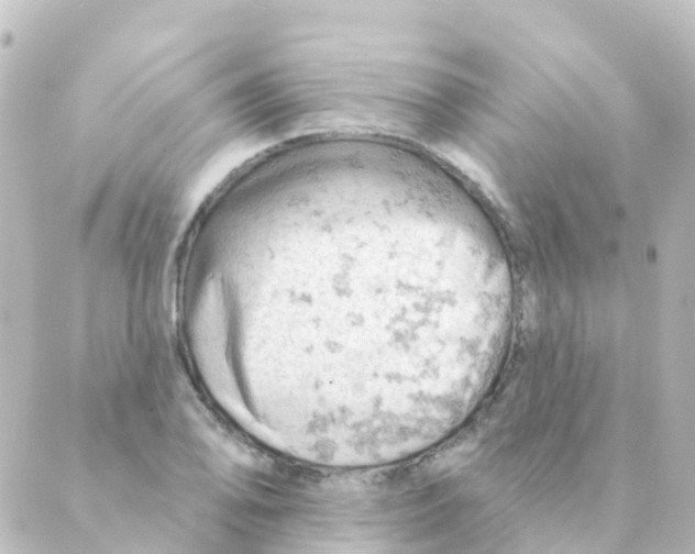 X0000088651078200706221605