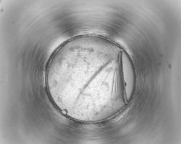 X0000088651079200706221604