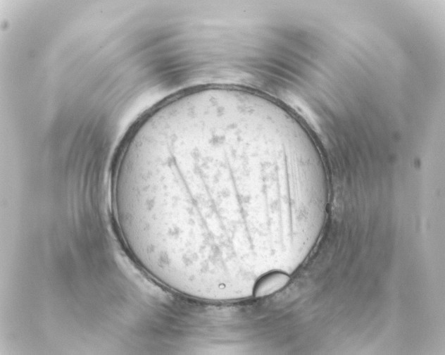 X0000088651080200706221604