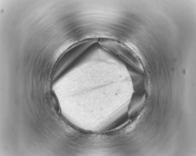 X0000088651081200706221604