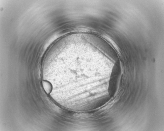 X0000088651083200706221604