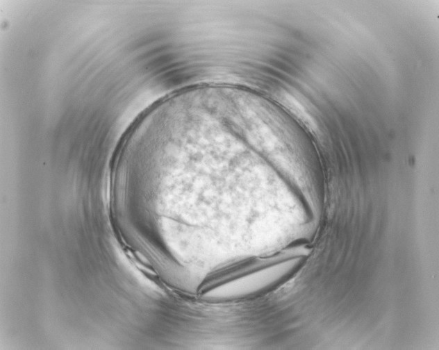 X0000088651084200706221604