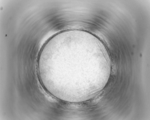 X0000088651086200706221604