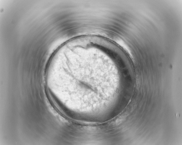 X0000088651088200706221604