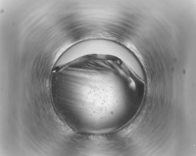 X0000088651089200706221604