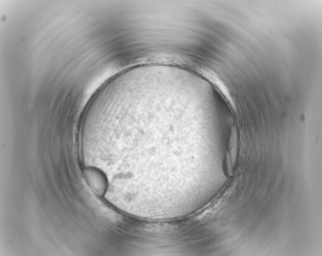 X0000088651091200706221604