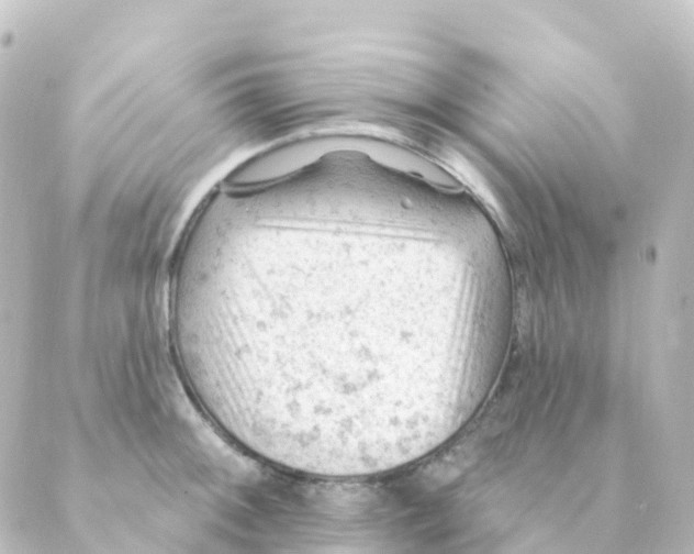 X0000088651092200706221604