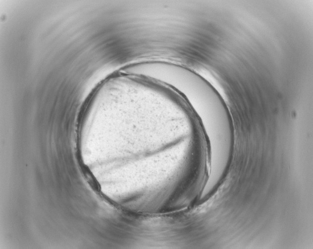 X0000088651093200706221604