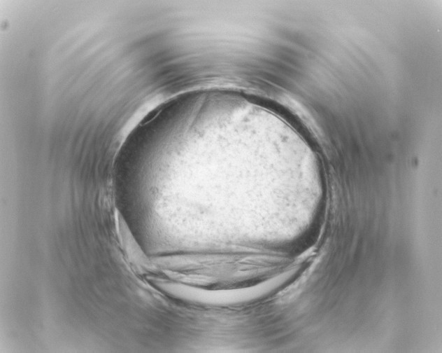 X0000088651097200706221604