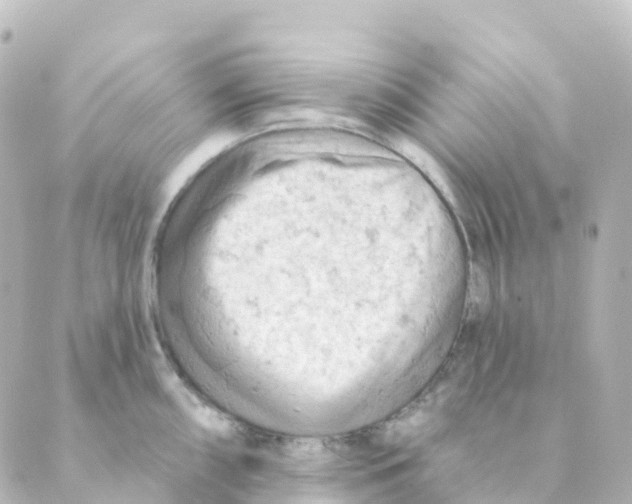 X0000088651098200706221604