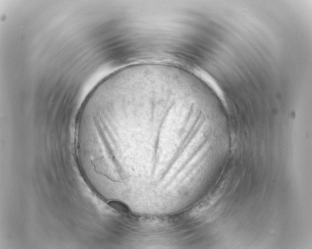 X0000088651099200706221604