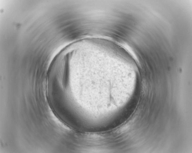 X0000088651100200706221604