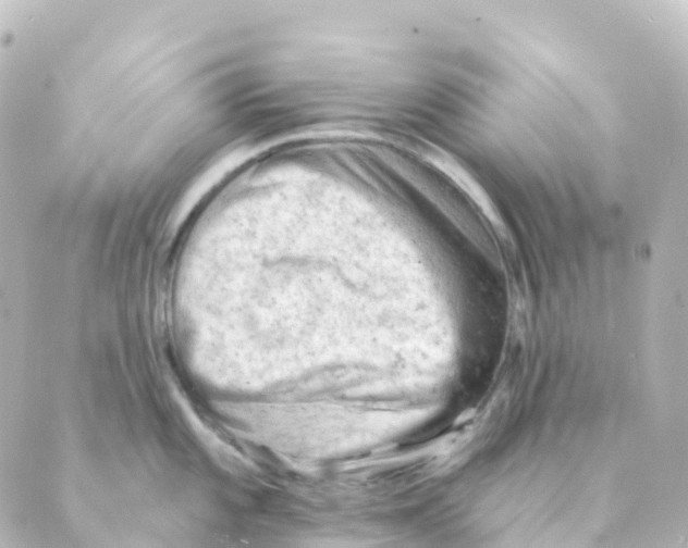 X0000088651101200706221604