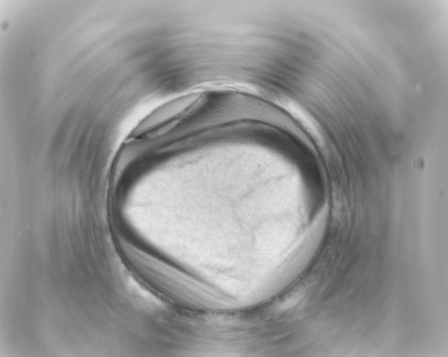 X0000088651102200706221604